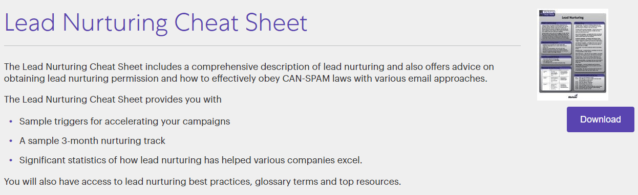 Lead Nurturing Sheet