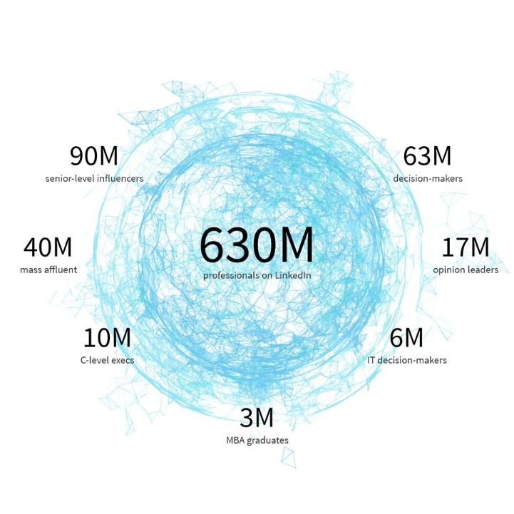 LInkedIn members