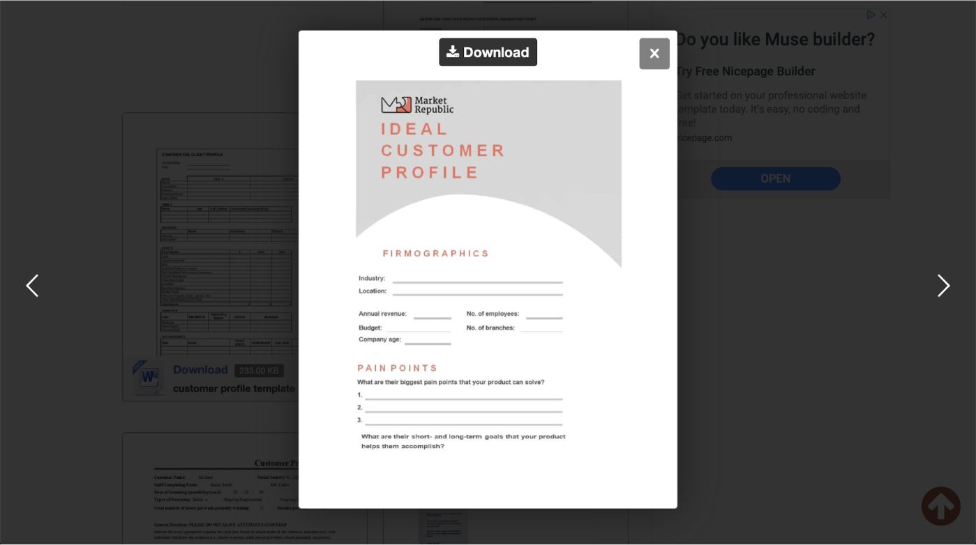 Market Republic - Ideal Customer Profile