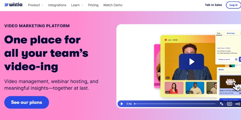 Wistia website